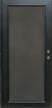 Security Door